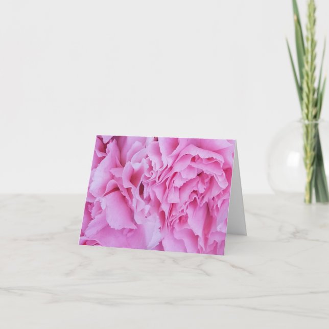 Pink Carnations Blooms Note Card Sets (Front)