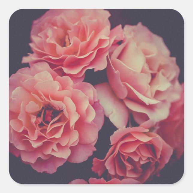 Pink Carnations Flowers Square Sticker (Front)