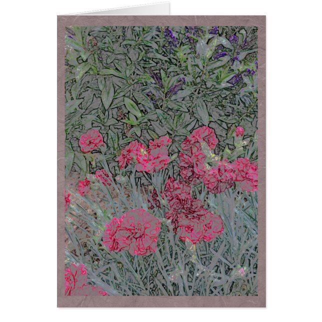 Pink carnations in a summer garden (Front)