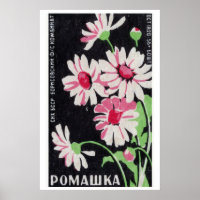 Pink Chamomile Flowers Matchbox Art Print, Russian
