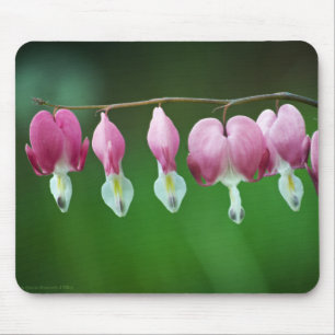 Pink Charms Mousepad