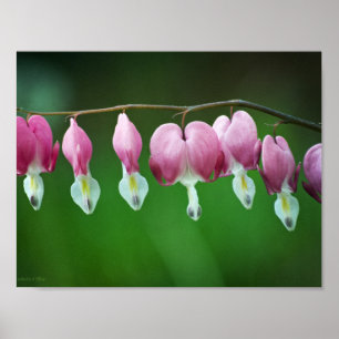 Pink Charms Print