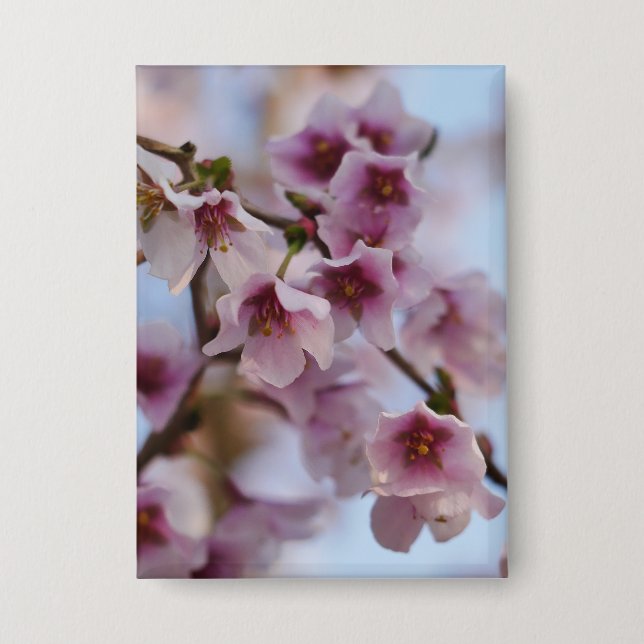Pink Cherry Blossom Badge (Front)