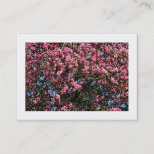 Pink Cherry Blossom (Bordered) Business Card