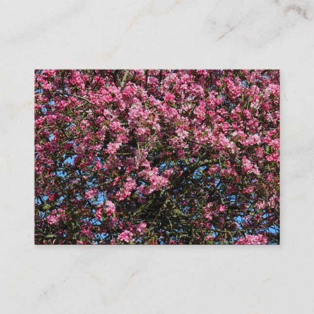 Pink Cherry Blossom Business Card (Front)
