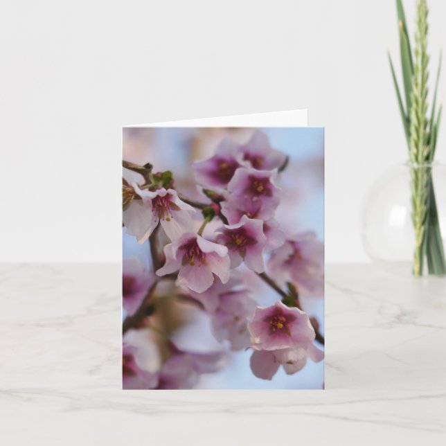 Pink Cherry Blossom Card (Front)