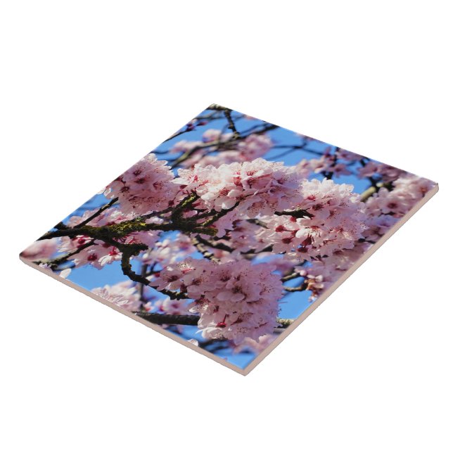 Pink Cherry Blossom Ceramic Tile (Side)