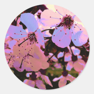 Pink Cherry Blossom Classic Round Sticker