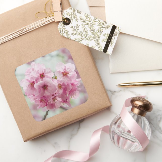 Pink Cherry Blossom Flower, Japan Photography Square Sticker (Gifting)