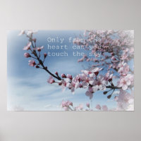 Pink Cherry Blossom Flowering Tree  Poster