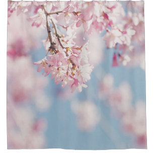PINK CHERRY BLOSSOM IN CLOSE UP PHOTOGRAPHY