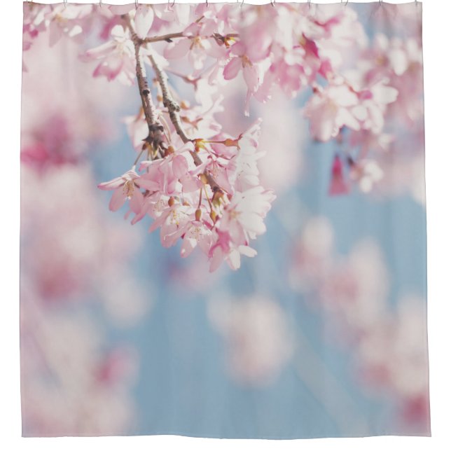 PINK CHERRY BLOSSOM IN CLOSE UP PHOTOGRAPHY (Front)