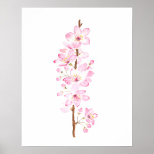 pink cherry blossom pink sakura watercolor paintin poster