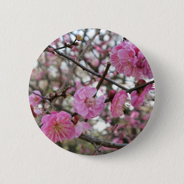 Pink Cherry Blossom / Sakura / サクラ（桜) 2 Inch Round Button (Front)