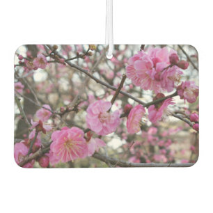 Pink Cherry Blossom / Sakura / サクラ(桜) Air Freshener