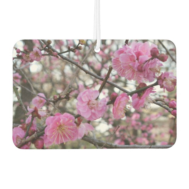 Pink Cherry Blossom / Sakura / サクラ（桜) Air Freshener (Front)
