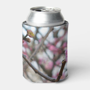 Pink Cherry Blossom / Sakura / サクラ（桜) Can Cooler