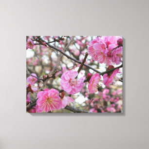 Pink Cherry Blossom / Sakura / サクラ（桜) Canvas Print