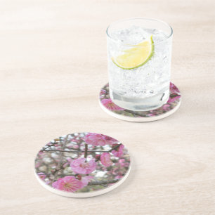 Pink Cherry Blossom / Sakura / サクラ(桜) Coaster