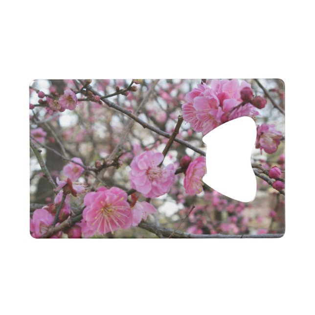 Pink Cherry Blossom / Sakura / サクラ（桜) Credit Card Bottle Opener (Front (Horizontal))