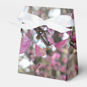 Pink Cherry Blossom / Sakura / サクラ（桜) Favor Box