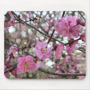 Pink Cherry Blossom / Sakura / サクラ（桜) Mouse Pad