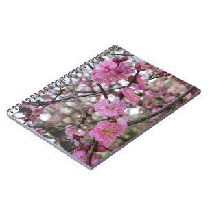 Pink Cherry Blossom / Sakura / サクラ（桜) Notebook