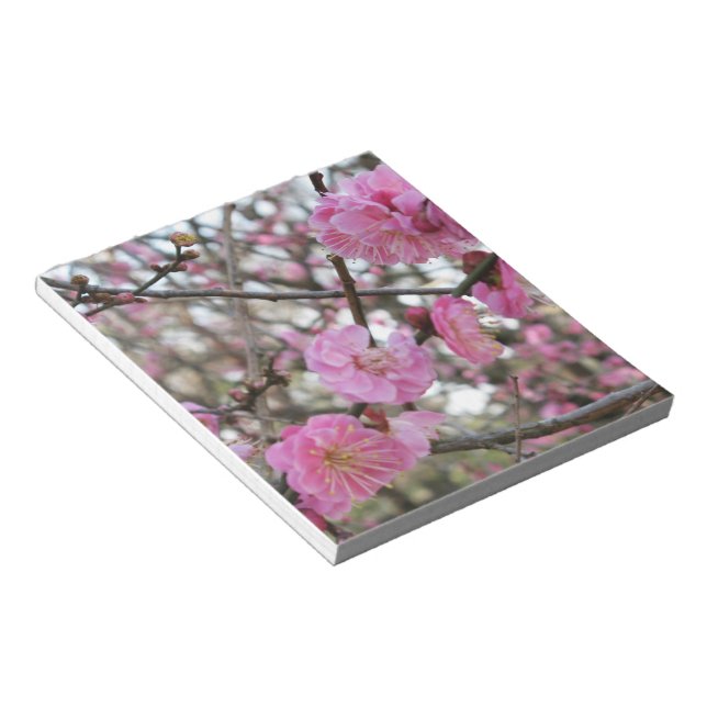 Pink Cherry Blossom / Sakura / サクラ（桜) Notepad (Angled)