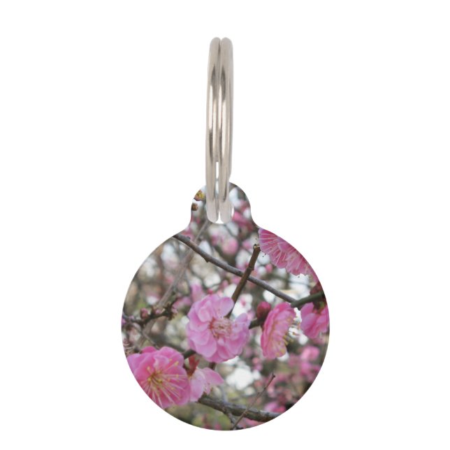 Pink Cherry Blossom / Sakura / サクラ（桜) Pet Tag (Front)