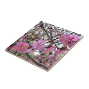 Pink Cherry Blossom / Sakura / サクラ（桜) Tile