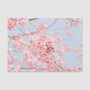 Pink Cherry Blossom Tissue Paper