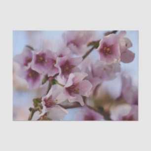 Pink Cherry Blossom Tissue Paper