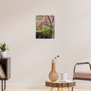 Pink Cherry Blossoms Alongside Pond Poster
