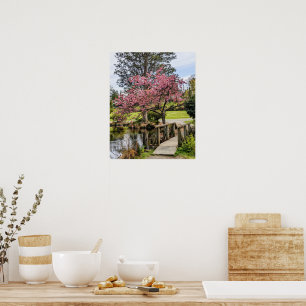 Pink Cherry Blossoms and Wooden Footbridge Poster