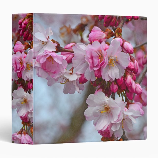 Pink cherry blossoms binder (Front/Spine)