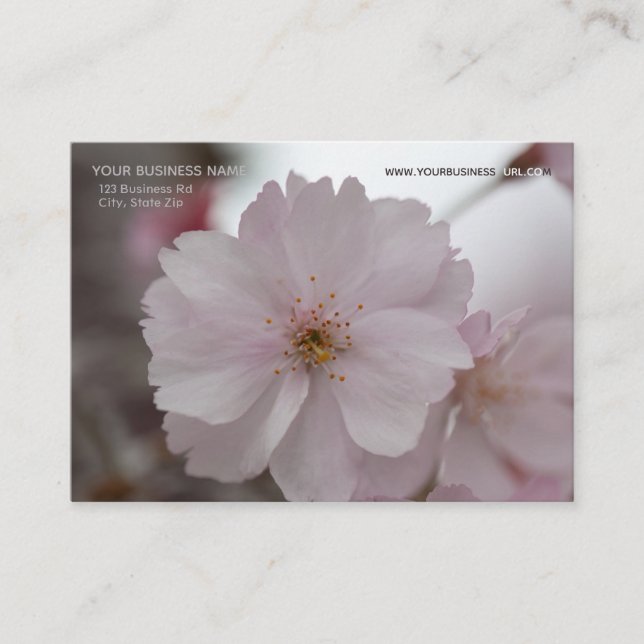 Pink Cherry Blossoms Business Card (Front)