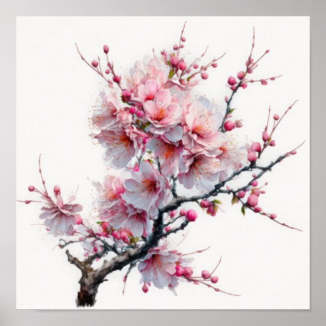 Pink Cherry Blossoms Flower Art Print Poster (Front)