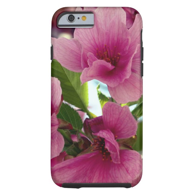 Pink Cherry Blossoms iPhone 6/6s, Tough Case-Mate iPhone Case (Back)