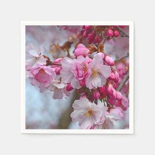 Pink cherry blossoms napkin
