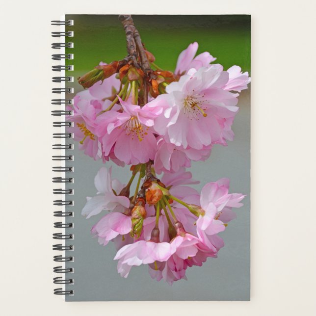 Pink cherry blossoms planner (Front)