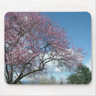 Pink cherry tree and blue sky, white clouds mouse pad