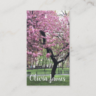 Pink Cherry Tree Blossoms Floral Nature Photograph Business Card