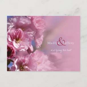 pink cherry tree blossoms spring wedding announcement postcard