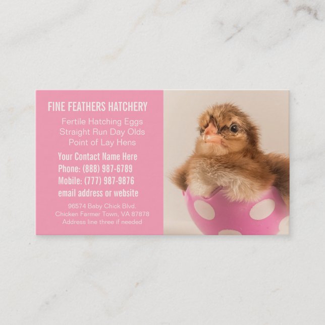 Pink Chick Hatchery Business for Women Business Card (Front)