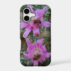 Pink Cholla Cactus Flowers With Honey Bees