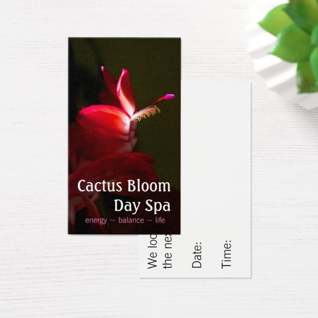 Pink Christmas Cacti Bloom Photograph (Desk)