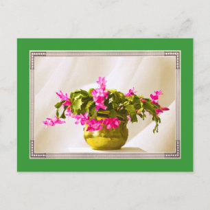 Pink Christmas Cactus Portrait Holiday Postcard