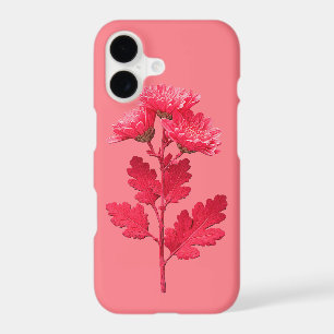 Pink Chrysanthemum 