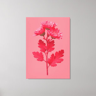 Pink Chrysanthemum Canvas Print