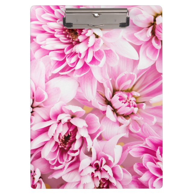 Pink Chrysanthemum Flower   Clipboard (Front)
